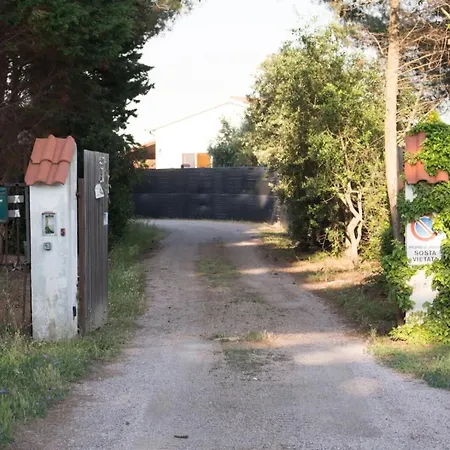 Bilocale Vicino Al Mare *